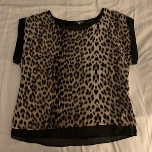 Chiffon Leopard Print Shirt 🐆